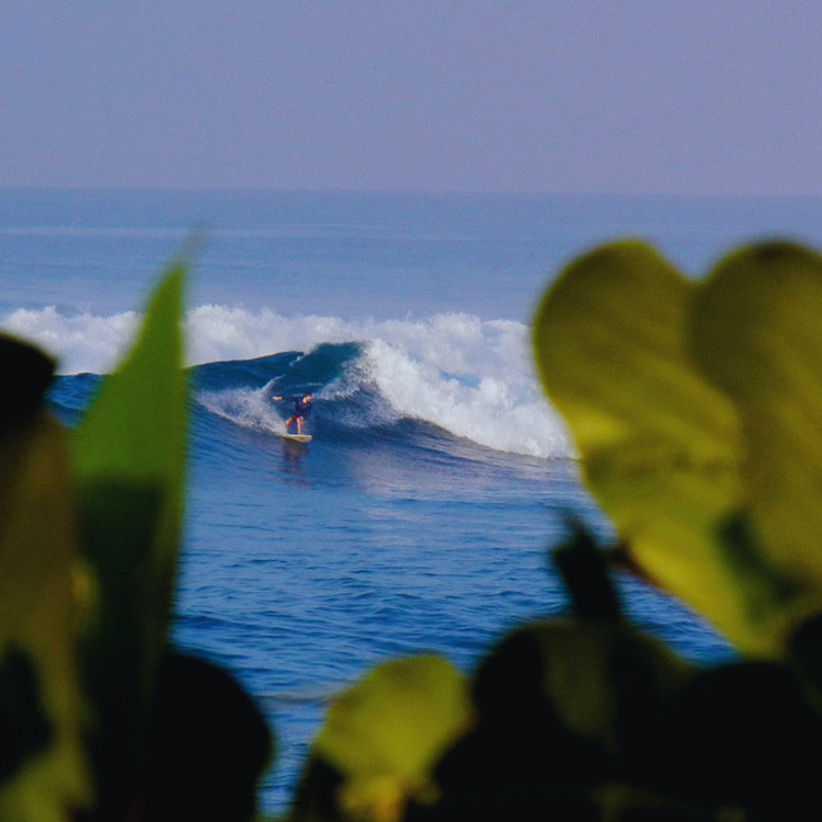 The Best Surf Beaches in El Salvador